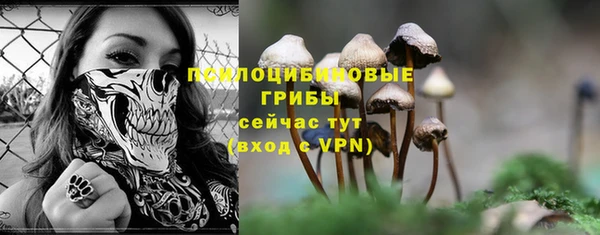 мет Белокуриха