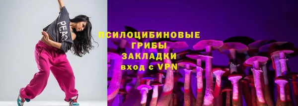 крисы Беломорск