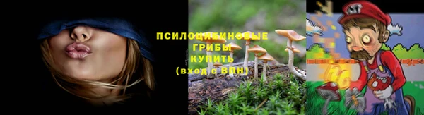 мет Белокуриха