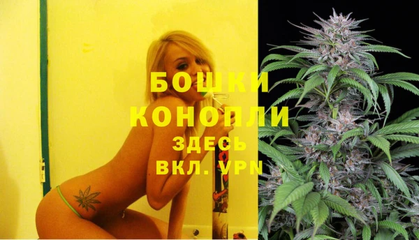 мет Белокуриха