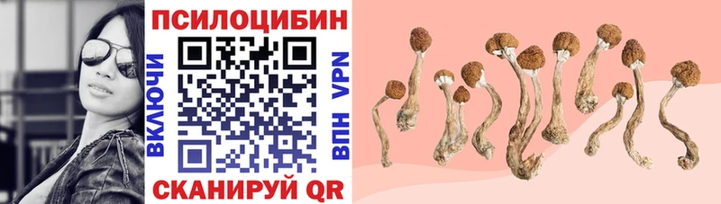 Псилоцибиновые грибы GOLDEN TEACHER сколько стоит Вышний Волочёк